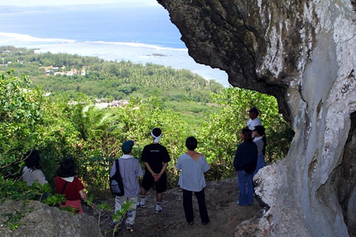 turtle-jungle-hiking